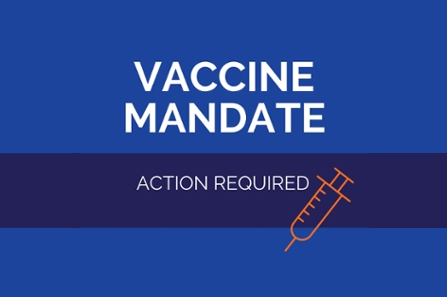 Vaccine mandate, action required with graphic of a syringe