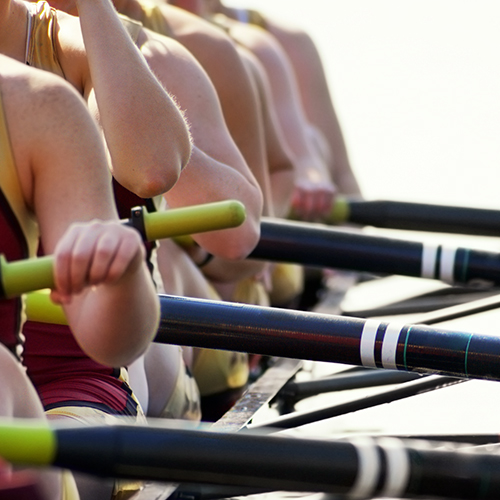 closeup of rowing students hands and oars